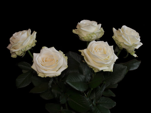 429086 (a): :1024x768